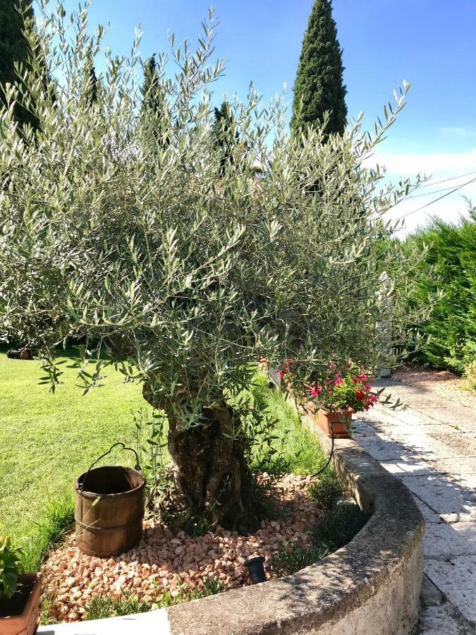 B&B Castel Montorio Verona Ngoại thất bức ảnh